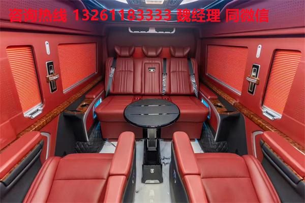 牌MPV 海狮9座大尺寸商务车卖价尊龙凯