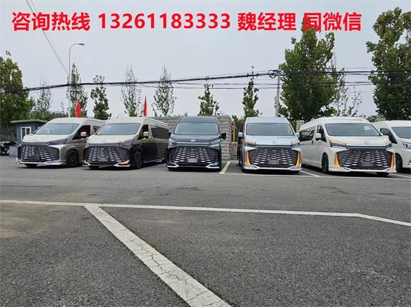 牌MPV 海狮9座大尺寸商务车卖价尊龙凯时app网站进口丰田海狮蓝(图5)