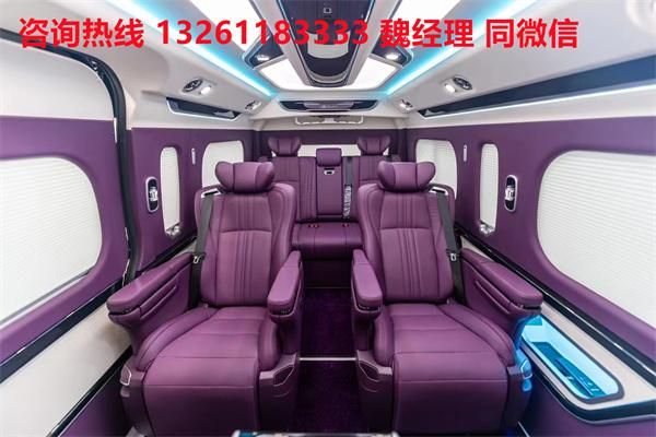 牌MPV 海狮9座大尺寸商务车卖价尊龙凯时app网站进口丰田海狮蓝(图3)