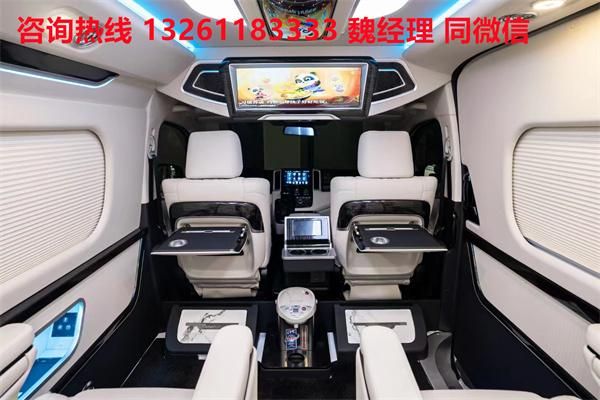 牌MPV 海狮9座大尺寸商务车卖价尊龙凯时app网站进口丰田海狮蓝(图4)