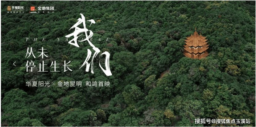 5首页-项目详情位置价格周边及内部配套尊龙凯时网昆明华夏金地世博一号202(图6)