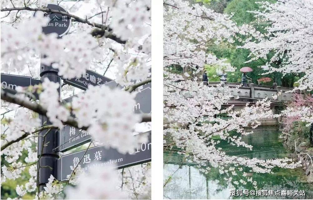 小区环境-中建虹悦里-营销中心热线-楼盘详情尊龙凯时app上海虹口中建虹悦里售楼处电话-(图16)